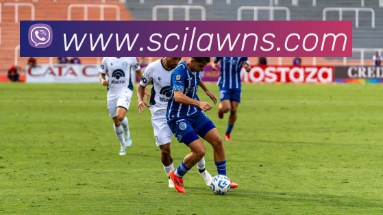 辅助工具 辅助工具